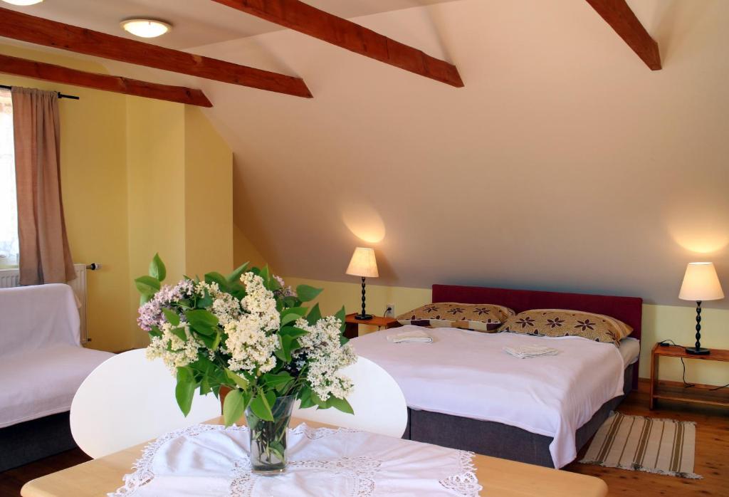 Banská Štiavnica 克雷门尼斯克旅馆酒店 客房 照片
